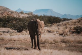 “Some places leave footprints on your heart forever.” ✨

Und ich glaube, Namibia hat genau das bei mir geschafft 🧡

Diese endlosen Landschaften, die Ruhe, die Sonnenuntergänge und dieses Gefühl von Freiheit… dieses Land ist einfach etwas ganz Besonderes.

Und unsere Reise ist noch nicht vorbei 🥹
Vor uns liegen noch 11 weitere Tage entlang des Caprivi bis zu den Victoria Falls ✨

Ich weiß jetzt schon, dass diese Reise mir noch ganz lange im Herzen bleiben wird 🌍

#namibiareise #namibianweddings #namibiaphotography #namibia🇳🇦